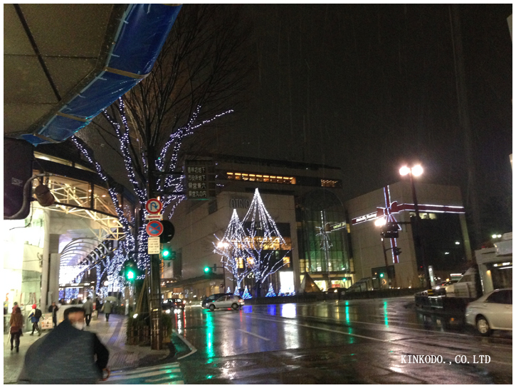 2013snow.jpg